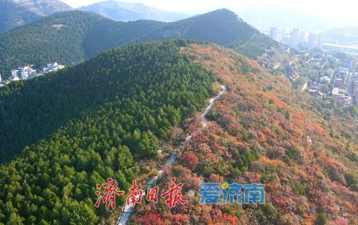 漸入佳境，濟南版“鴛鴦火鍋”將迎來紅葉最美時節