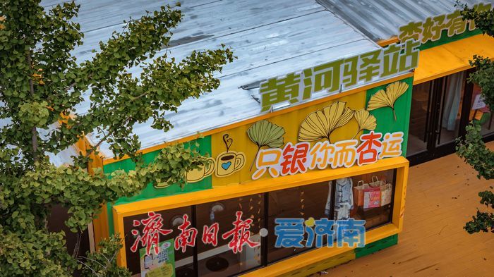 濟南百里黃河公路生態廊道：生態與人文交融的打卡勝地