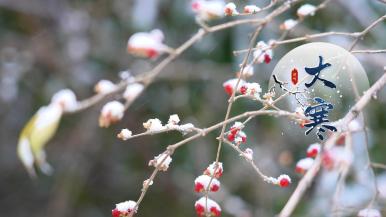 Major Cold, One of the 24 Solar Terms_fororder_微信圖片_20260120093209