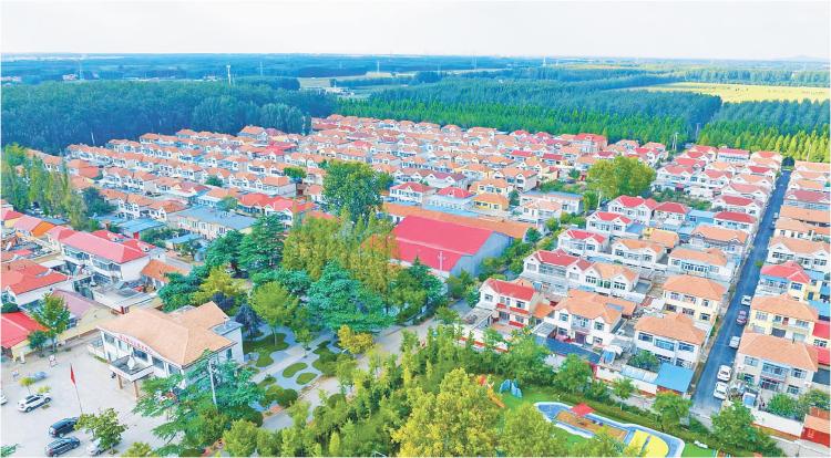 濰坊：片區建設促鄉村振興_fororder_13_13_0420