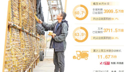 山東全鏈條發力搶收搶烘：人歇機不歇，曬場可共享