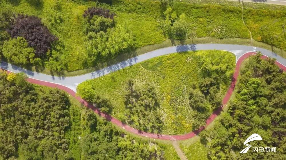 三色綠道繪山海——解碼日照海岸線的生態文旅融合樣本｜青春思政課