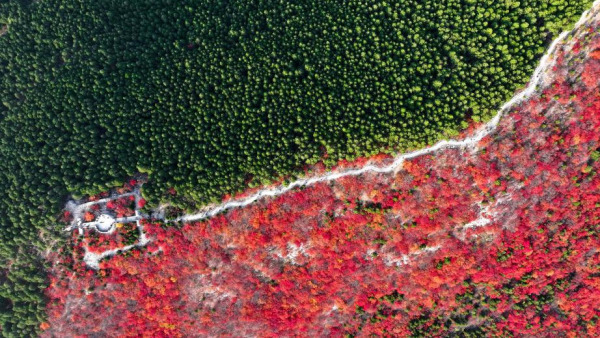 山東濟南：“平分秋色”蝎子山