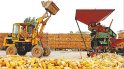 無人機騰空“搶金”山東科技秋收加速