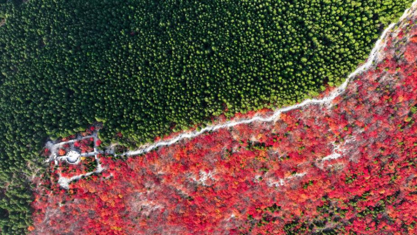 山東濟南：“平分秋色”蝎子山