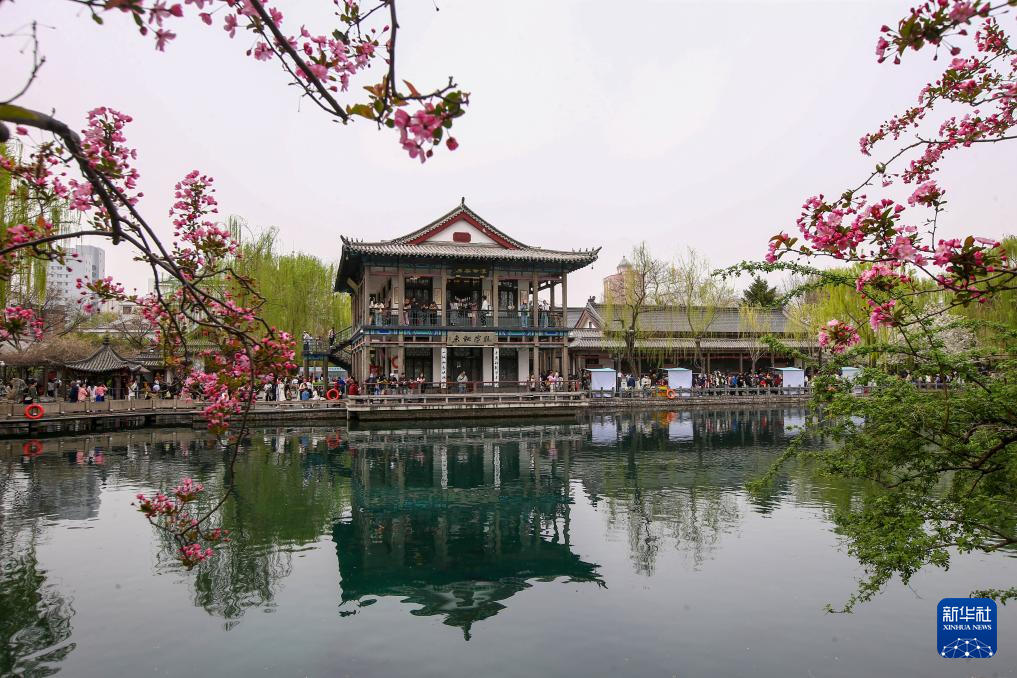 【花開齊魯】山東春暖賞花正當時_fororder_27-35
