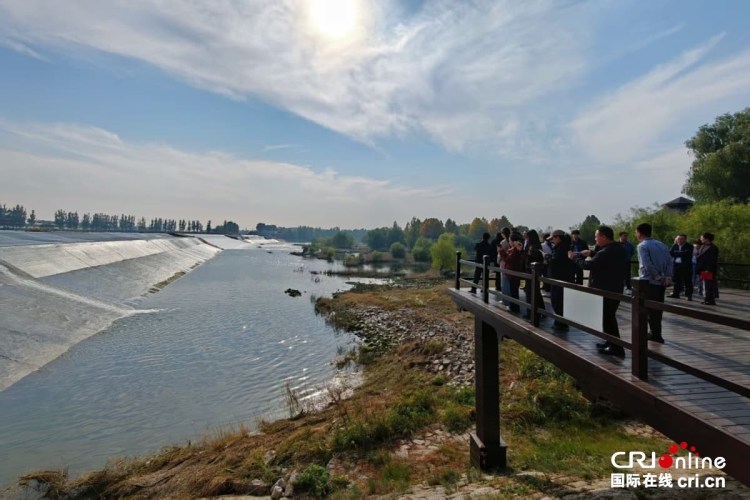 沿著黃河遇見海,感受“幸福河”的魅力與新生