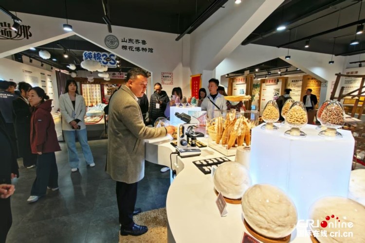 沿著黃河遇見海,感受“幸福河”的魅力與新生