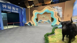 山東省科技館推出“黃河地理生態科普展和神秘海洋專題展”