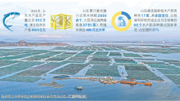 山東：讓遼闊海洋變“藍色糧倉”