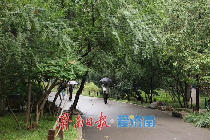 細雨如絲,濟南百花公園秋意朦朧