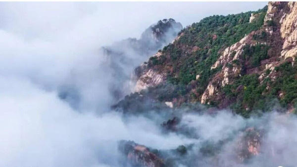 組圖丨岱宗秋深 雲濤漫染“仙”氣十足