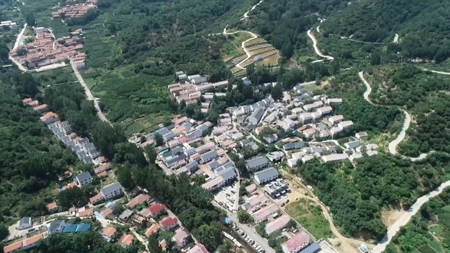山東淄博：激活林業資源 賦能鄉村振興