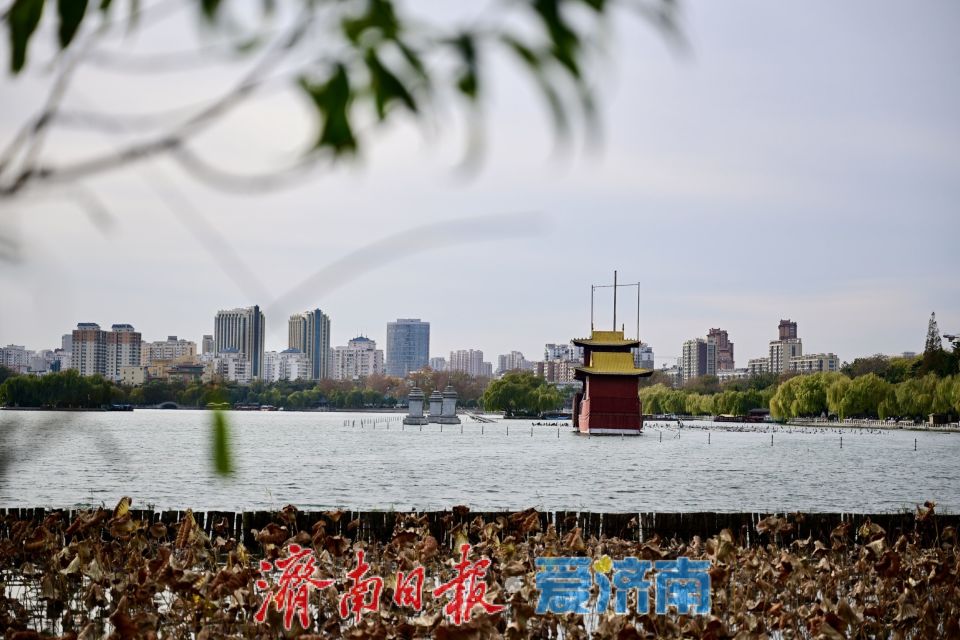 寒潮難擋遊興 大明湖初冬別具風情