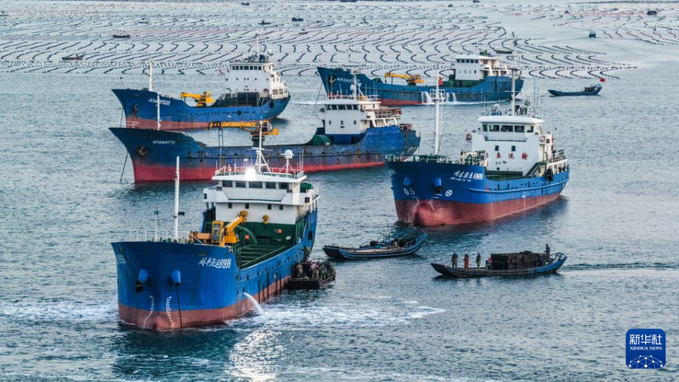 四中全會精神在基層｜山東：耕海牧漁充盈“藍色糧倉”