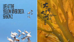 紀錄片《大河之洲》第二季定檔 即將全球首映