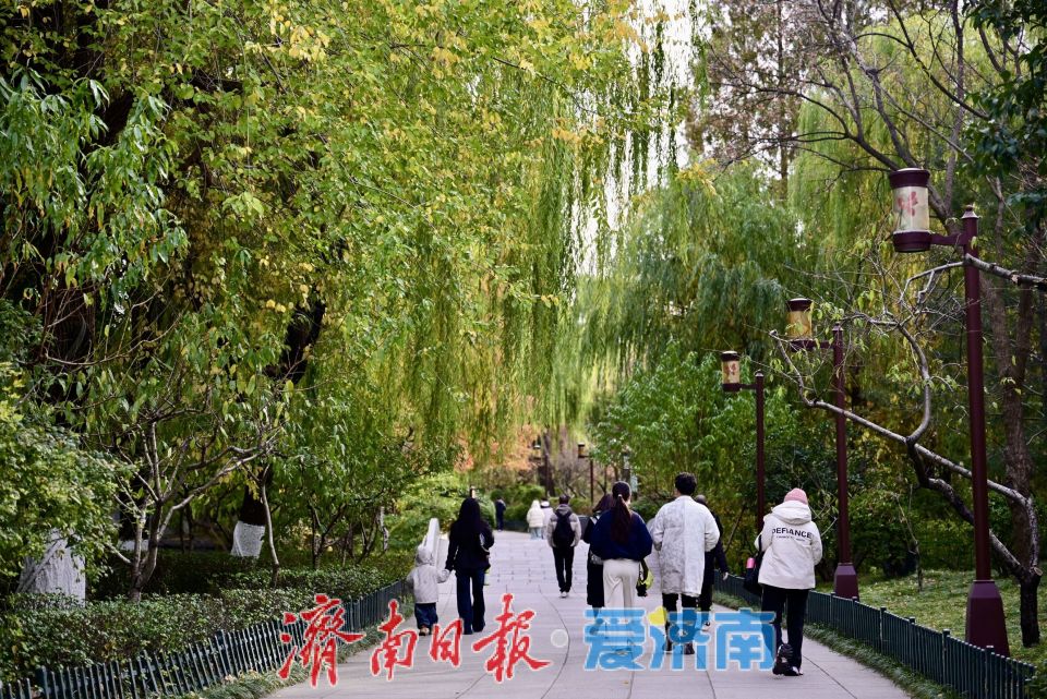 寒潮難擋遊興 大明湖初冬別具風情