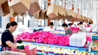 山東惠民：發展特色産業 賦能鄉村振興