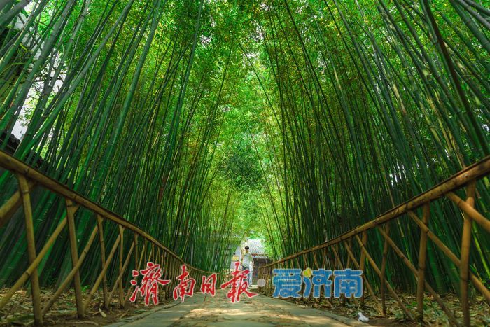 酷暑時節，來濟南萬竹園解鎖夏日清涼