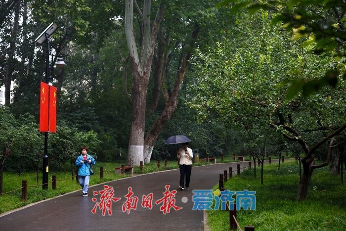 細雨如絲,濟南百花公園秋意朦朧