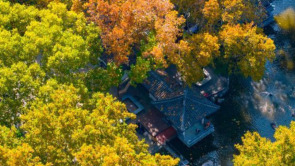 百年園林景如畫：濟南中山公園開啟最美賞葉季