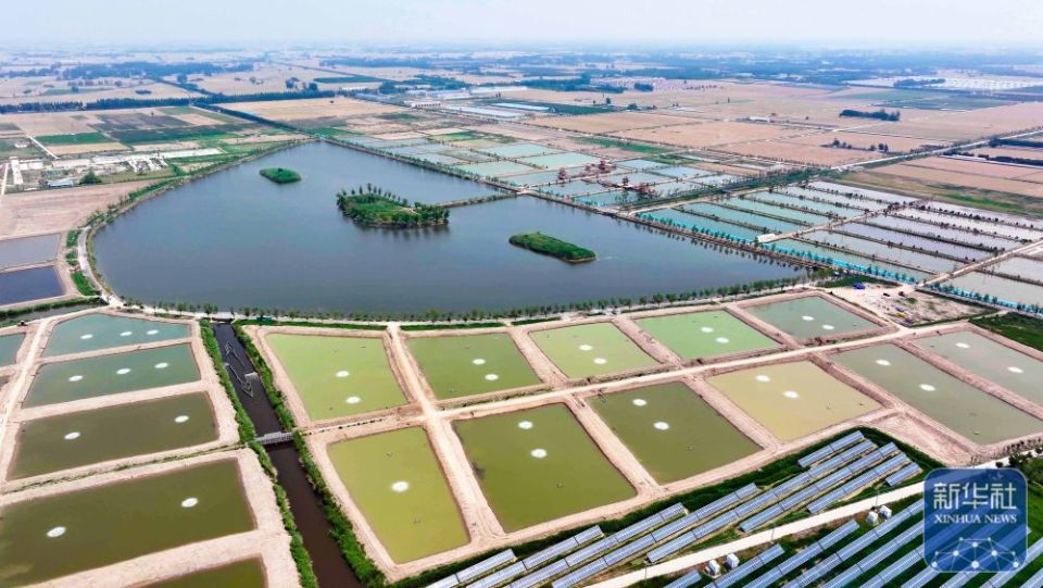 山東鄆城：採煤塌陷區治理讓地生金民受益