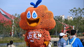 青島：“南瓜王國”吸引遊客