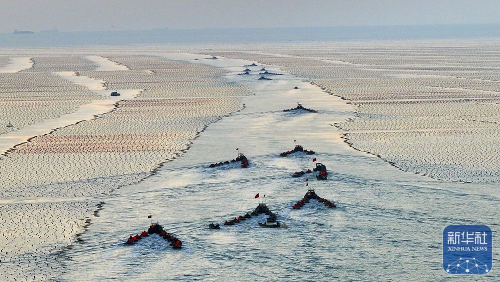 山東榮成：海洋牧場迎日出