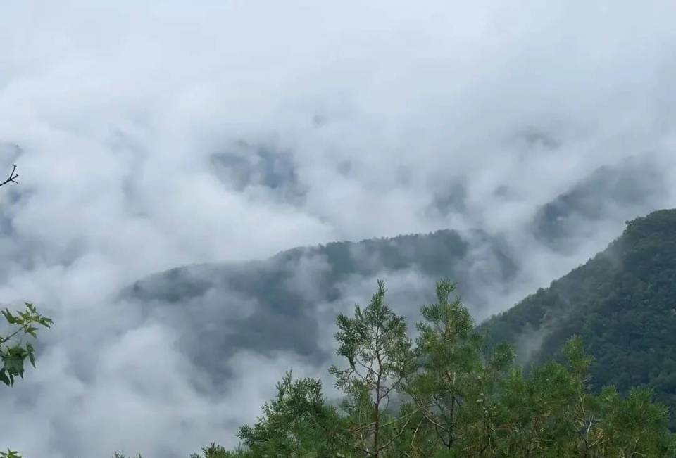 山東泰安：當夏日的風拂過泰山 雲端上的美景讓你一眼心動！_fororder_3