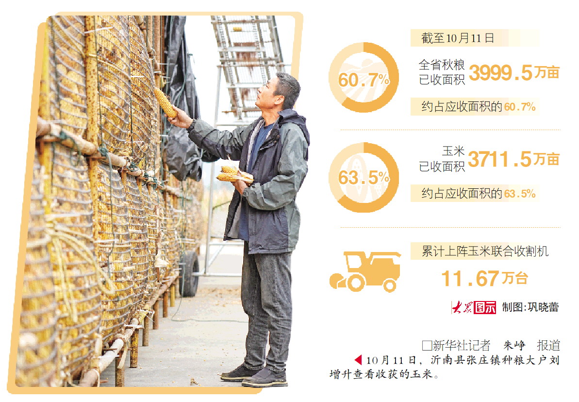 山東全鏈條發力搶收搶烘:人歇機不歇,曬場可共享_fororder_02_02_1369