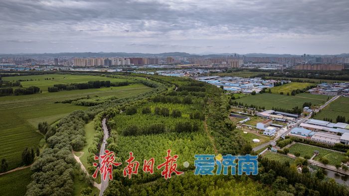 濟南百里黃河公路生態廊道：生態與人文交融的打卡勝地