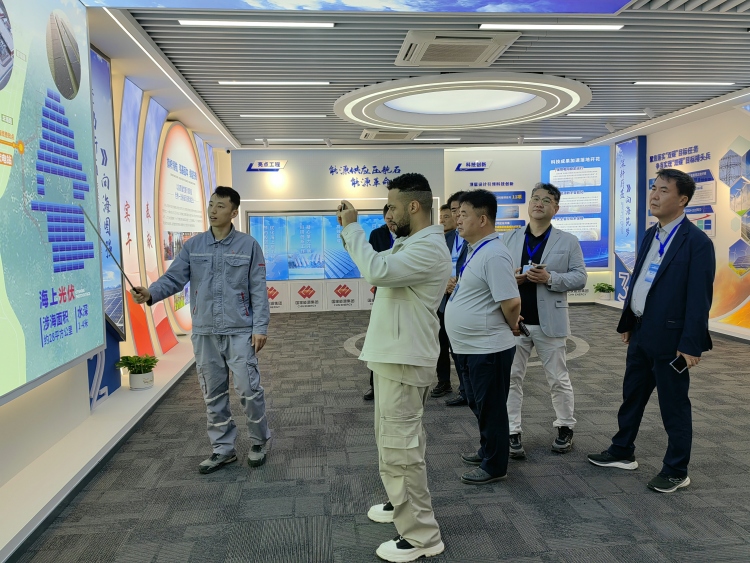【Hi,Shandong】外媒記者走進東營，探訪全球最大開放式海上光伏項目_fororder_國家能源3
