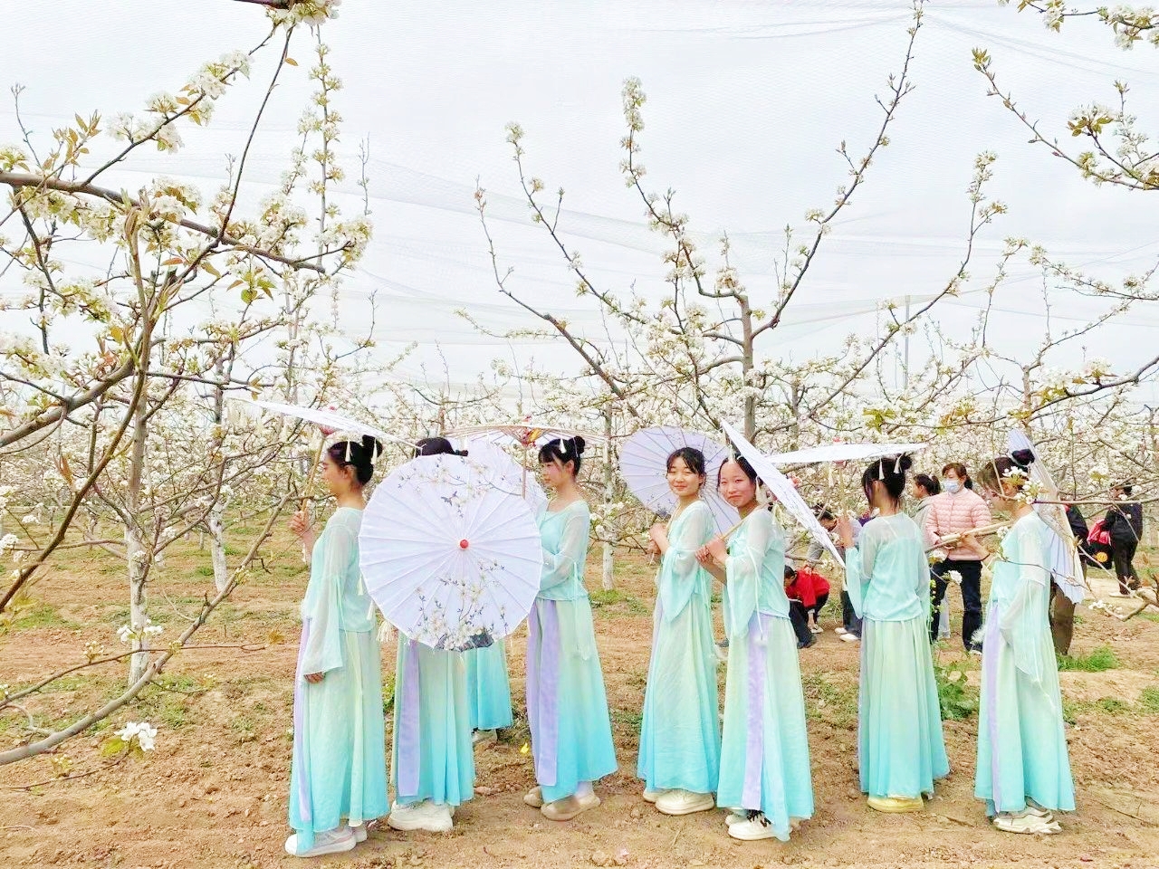 菏澤市魯西新區呂陵鎮2025年第二屆山農酥梨梨花文化旅遊節開幕_fororder_64a6ecbd30a2f62b91d572a15fecce6