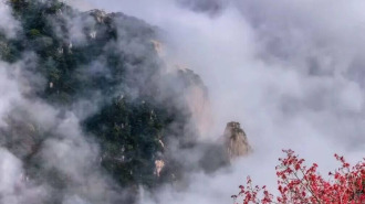 組圖丨岱宗秋深 雲濤漫染“仙”氣十足