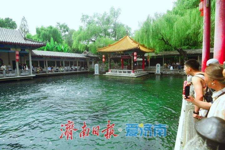 水涌若輪，趵突泉實現連續噴涌22週年成定局