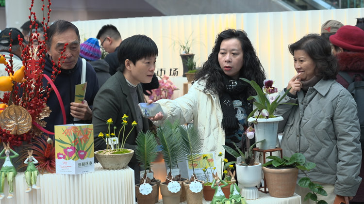 “花開上海”迎新年 奇花異草、創意花禮詮釋生活中的詩意