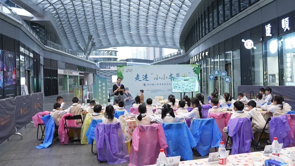 上海推動中醫藥文化進校園：“小小本草園”帶孩子們探究博大精深的中醫藥世界