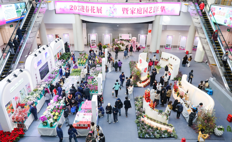 “花開上海”迎新年 奇花異草、創意花禮詮釋生活中的詩意