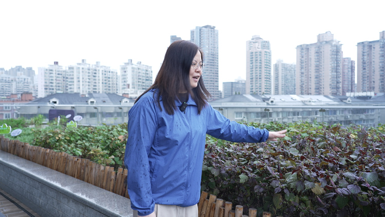 上海推動中醫藥文化進校園：“小小本草園”帶孩子們探究博大精深的中醫藥世界