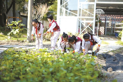 長三角成立中小學德育工作聯盟 推進更高起點育人格局