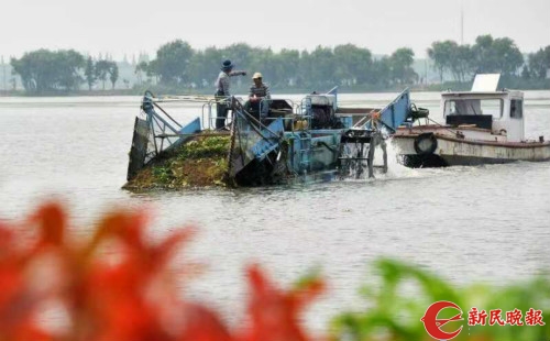 長三角區域全國人大代表首次聯合調研“太湖水環境治理”