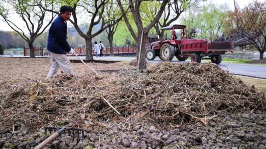 動物園的糞便 上海這座公園照單全收 連殘花敗草也不“放過”