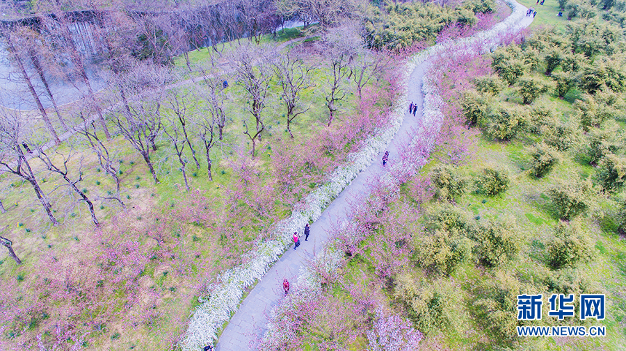 童話世界搬進森林 森林公園搬進商圈