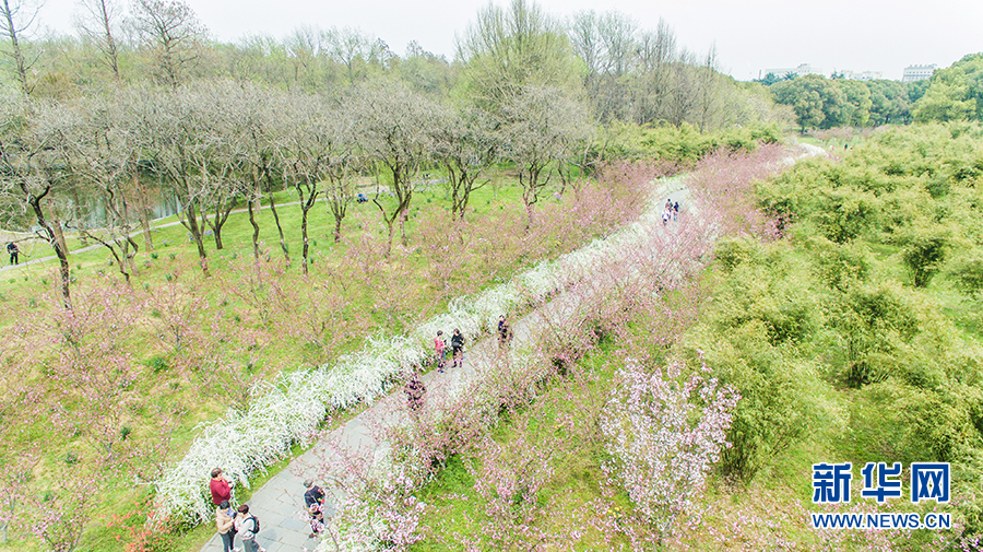 童話世界搬進森林 森林公園搬進商圈