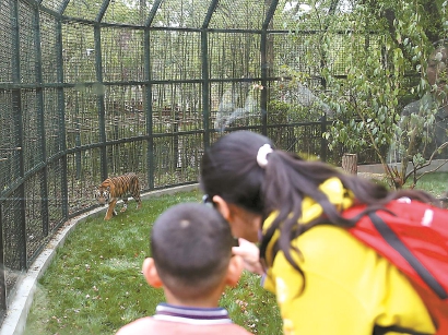 上海動物園鄉土動物區開放