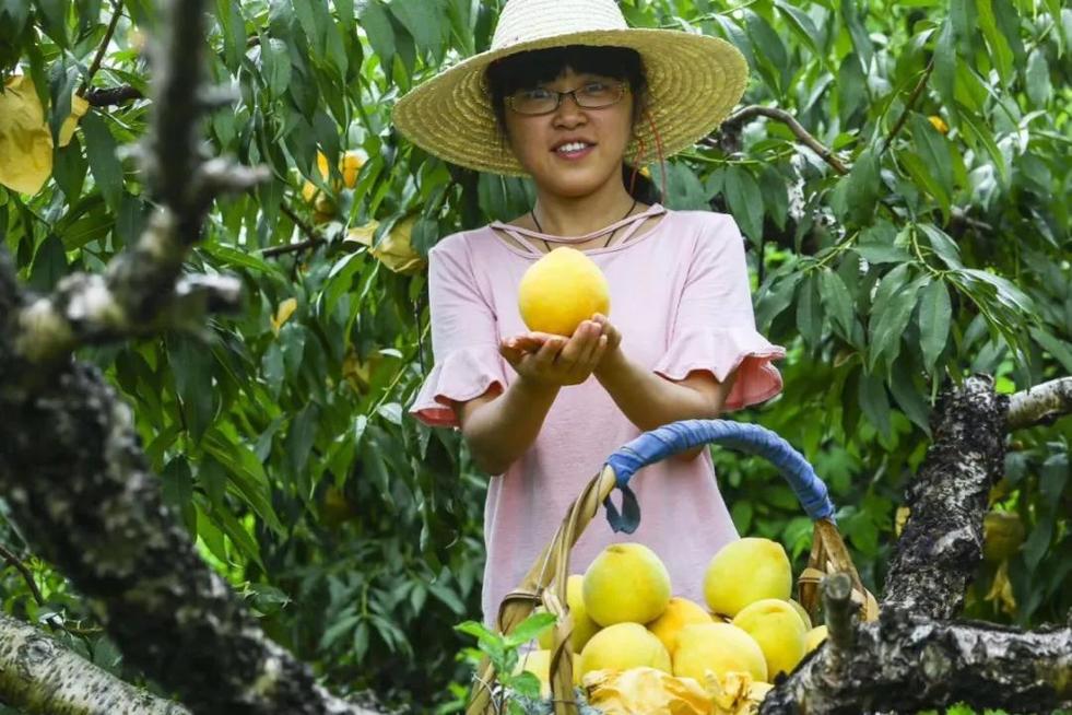 來之不易！上海森林面積相當於46個黃浦區