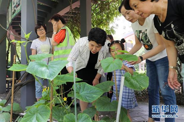 上海“新時尚”：用“繡花功”解垃圾分類“大難題”