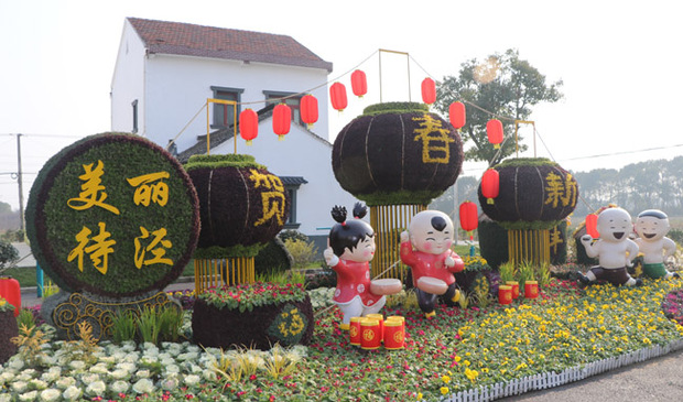 “花開海上”讓農民生活“開了花”