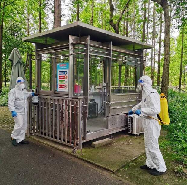 【焦點圖】百餘公頃公園、2公里濱江岸線和默默留守的護花人