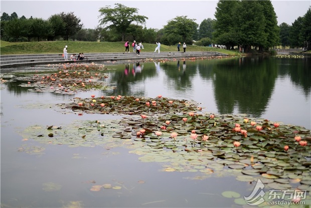 上海六一再開131座城市公園